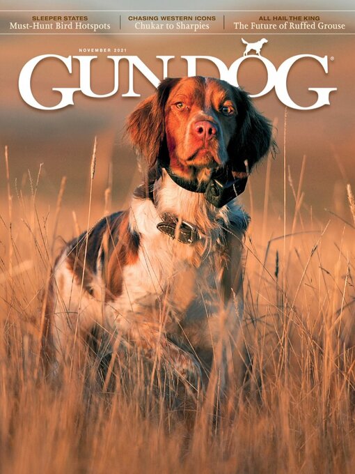 Title details for Gun Dog by KSE Sportsman Media, Inc. - Available